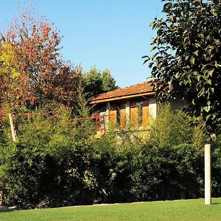 Casa Cerejeira *